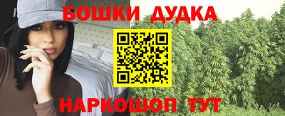 дживик Дубна