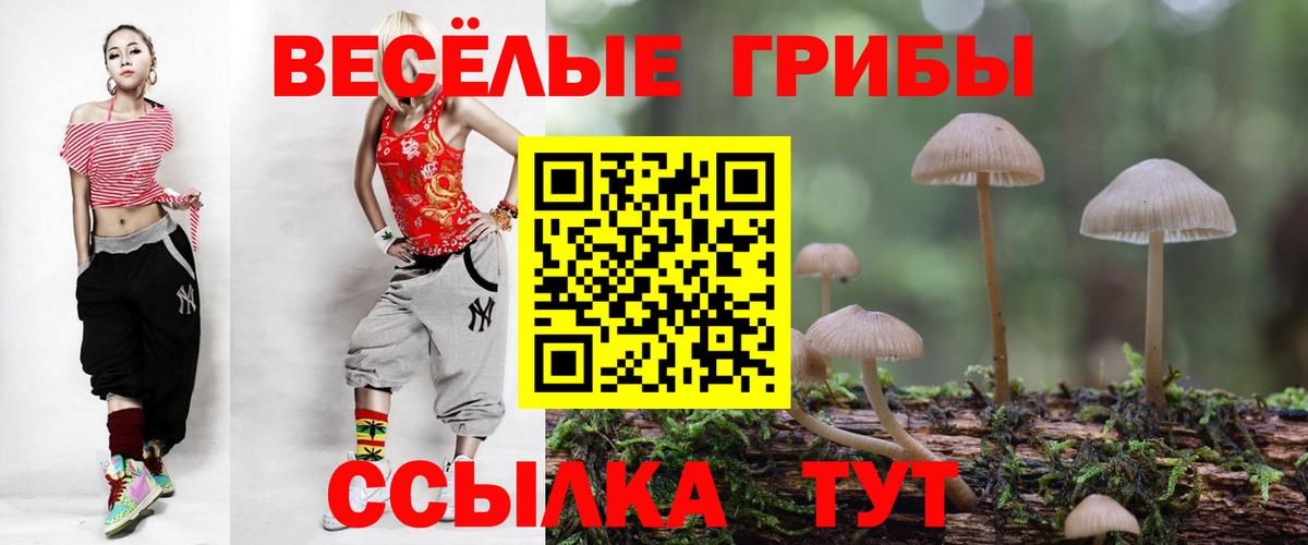 Псилоцибиновые грибы Magic Shrooms  Псилоцибиновые грибы прущие грибы  Вход с VPN  Лабинск 